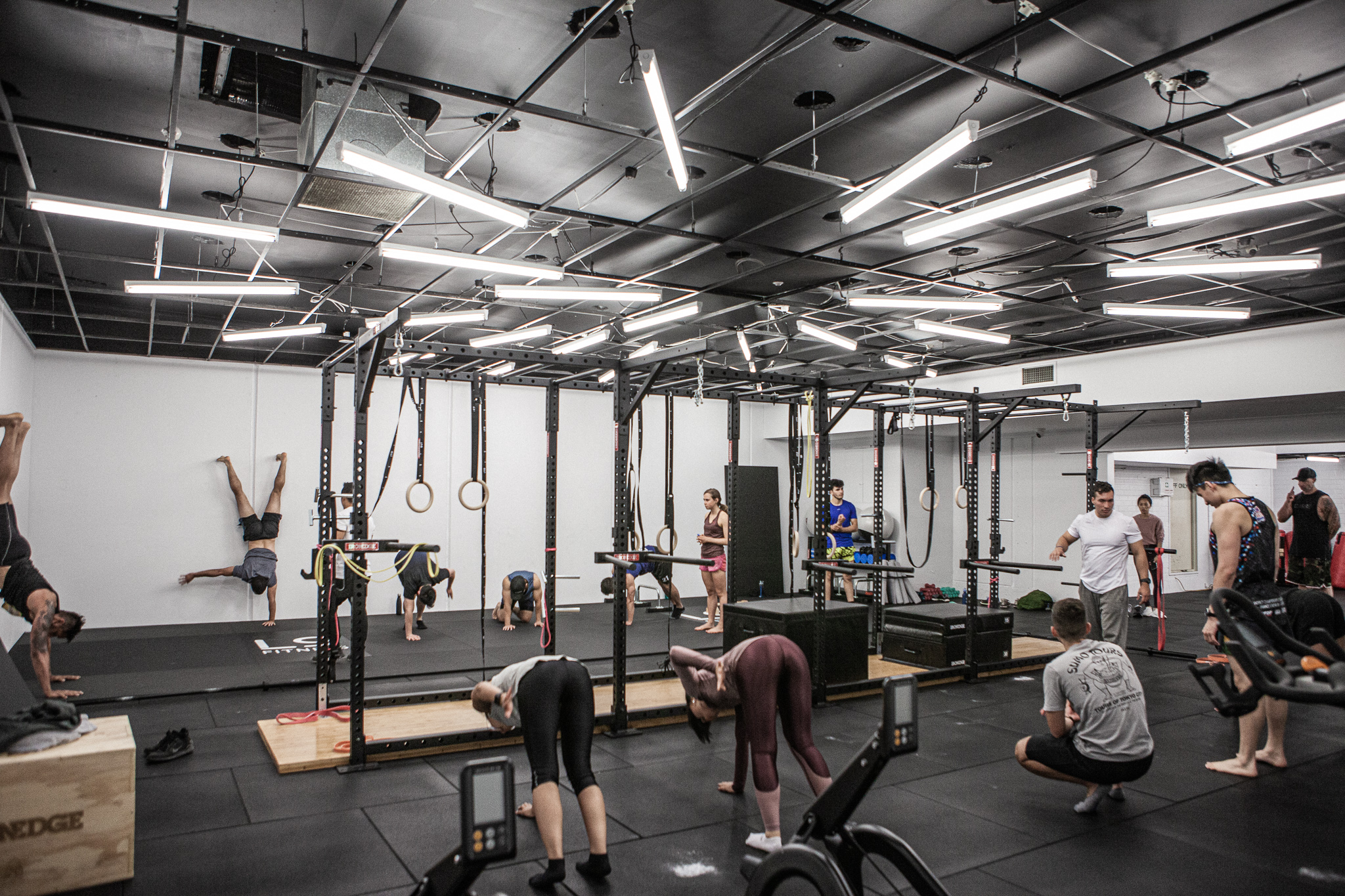 best calisthenics coach